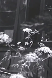 Aberhart's House Trailer