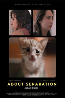 About Separation Trailer