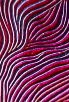 Abstract Patterns Trailer