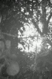 acaba Trailer