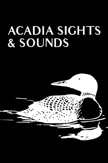 Acadia Sights & Sounds Trailer
