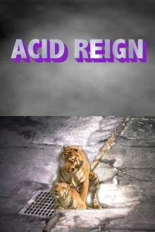 ACID REIGN Trailer