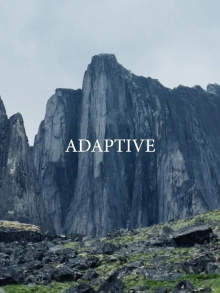 Adaptive Trailer