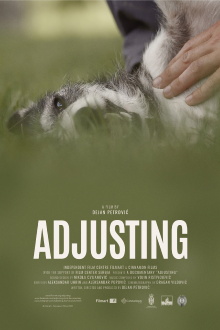 Adjusting Trailer