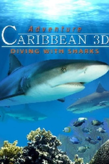 Adventure Caribbean 3D: Diving With Sharks Trailer
