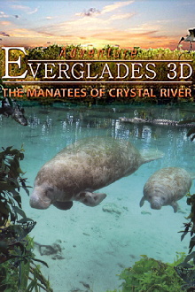 Adventure Everglades 3D - The Manatees of Crystal River Trailer