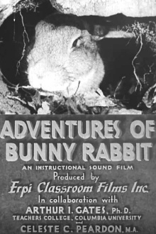 Adventures of Bunny Rabbit Trailer