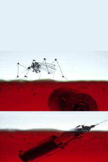 Aedes Trailer