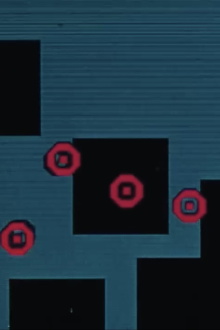 Affinities Trailer