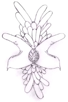 Affordance Trailer