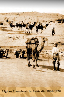 Afghan Cameleer in Australian from 1860-1920 Trailer
