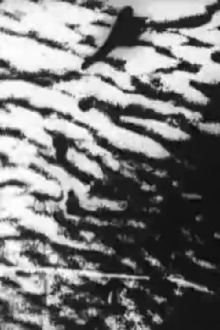 Africa Ⅰ Trailer
