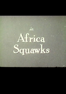 Africa Squawks Trailer