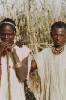 African Gathering Trailer