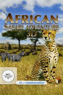 African Safari Adventure Trailer