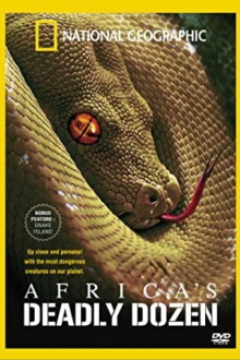 Africa's Deadly Dozen Trailer