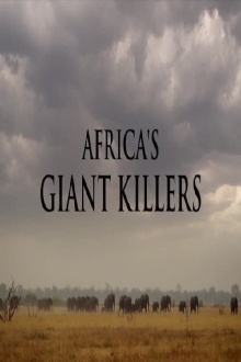Africa's Giant Killers Trailer