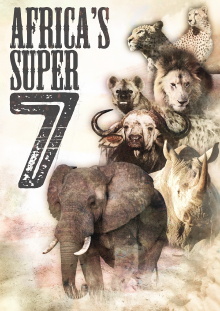 Africa's Super Seven Trailer