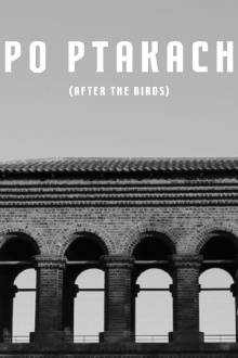 After The Birds Trailer