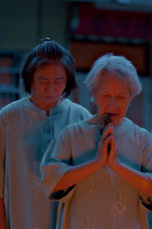 After the Cat Trailer