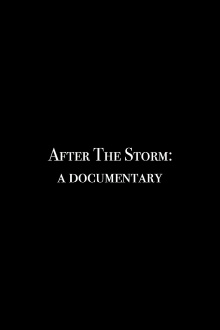 After the Storm: A Documentary Trailer