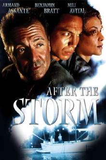 After the Storm Trailer