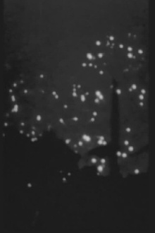 AFTERIMAGE OF SUMMER Trailer