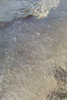 Afternoon Tide Trailer