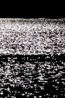 Against the Landscape Trailer