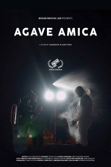 Agave Amica Trailer
