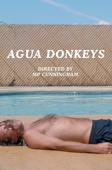 Agua Donkeys Trailer