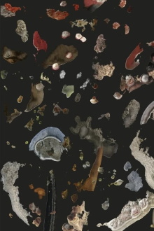 AI Mold Garden Trailer