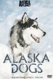 Alaska Dogs Trailer