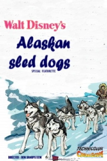 Alaskan Sled Dog Trailer