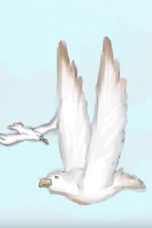 Albatross Trailer
