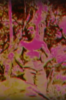 Album Trailer