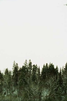 Algonquin Park, Early March Trailer