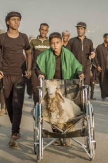 Ali and His Miracle Sheep Trailer