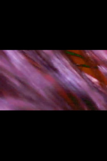 Alienscapes+ (2019)_"Hairscapes" Trailer