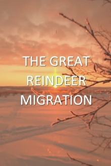 All Aboard! The Great Reindeer Migration Trailer
