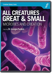 All Creatures Great & Small Trailer