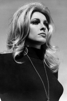 All Eyes on Sharon Tate Trailer