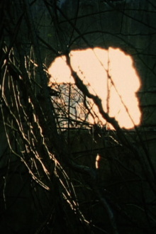 All That Remains Trailer