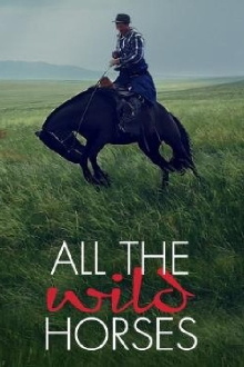 All the Wild Horses Trailer