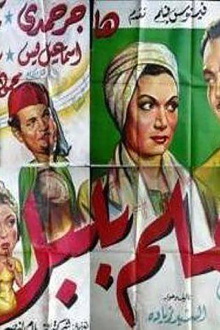 Almelm bilabal Trailer