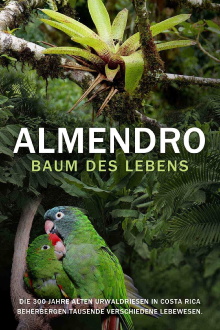 ALMENDRO - BAUM DES LEBENS Trailer