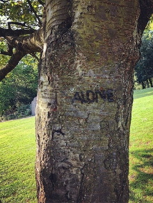 Alone Trailer