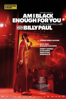 Am I Black Enough for You Trailer