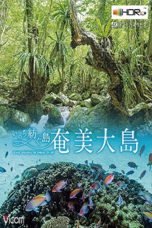 Amami Ashima Island Trailer