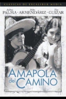 Amapola Del Camino Trailer